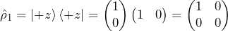 \begin{equation*}    \hat{\rho}_1 = \ket{+z}\bra{+z} = \begin{pmatrix} 1 \\ 0 \end{pmatrix} \begin{pmatrix} 1 & 0 \end{pmatrix} = \begin{pmatrix} 1 & 0 \\ 0 & 0 \end{pmatrix}\end{equation*}