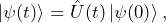 \begin{equation*}\ket{\psi(t)} = \hat{U}(t)\ket{\psi(0)},\end{equation*}