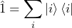 \begin{equation*}\hat{ \mathds{1}} = \sum_i \ket{i}\bra{i}\end{equation*}